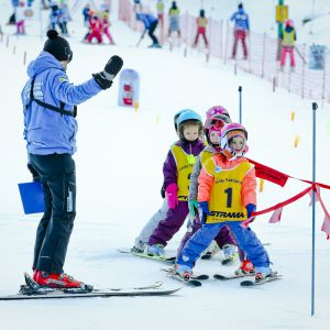 2020 01 17 11 49 21 541