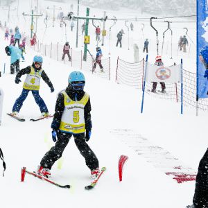 2020 02 05 11 17 57 014