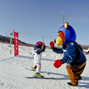 2020 02 08 11 33 52 006