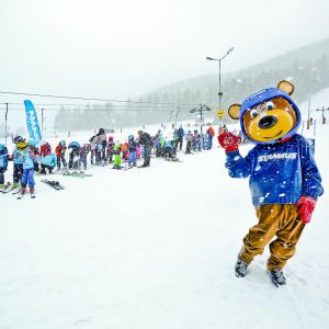 2020 02 12 10 59 37 008