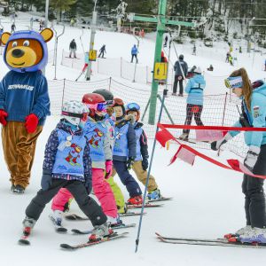 2020 02 18 12 59 36 039