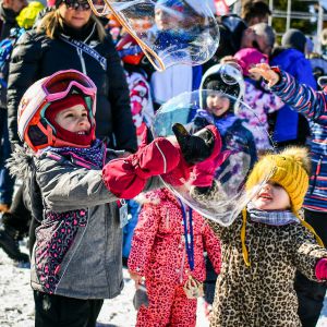 2020 02 15 12 06 25 290