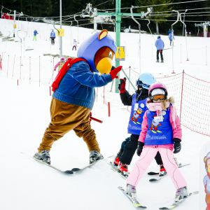 2020 02 27 11 14 26 241