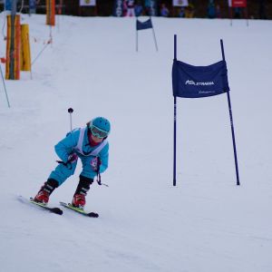 105E61D0 EE51 42C3 8CCE 9FFB861AF1D2