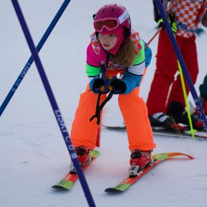 2344BC15 7975 4CFF BD19 0A4E8F66C7ED