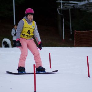 53522410 6290 41DE A8F7 D47E1EABE345