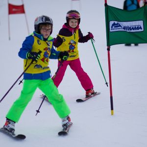 79511EEC DD1C 42EC 9E64 B0DDECD66E0A