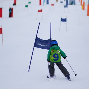 92916165 793C 4FC2 8089 3196AD233E1C