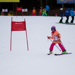 AE69C516 AF30 4E8A 8DD4 5906389B059D