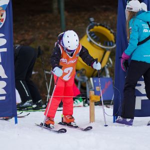 BF80DD9C 2313 42A9 8179 DCBC72D48D42