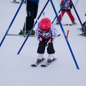 D2A5B7AF 1440 4CA3 9A4B DDF2B1AB2599