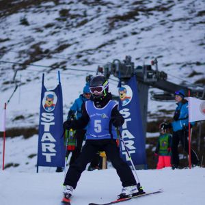 D454D11B FF52 4EFA B5D5 6DA02910B2CD