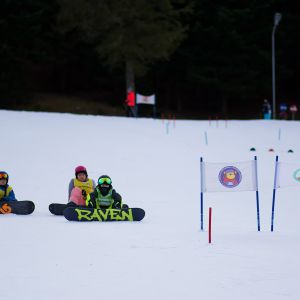 D8D91E4E 34C4 4419 927E 613D25E27EC9