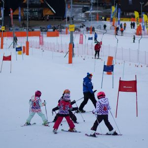 EF1FBFFD BFC1 4E1F BD92 5E10E0268050