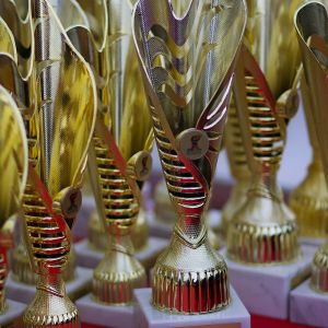 8E987541 6A90 444D 8DE9 F2177625FF87