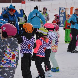 BF4C1BEC D13E 4E1E 8DCB 99A06866E356