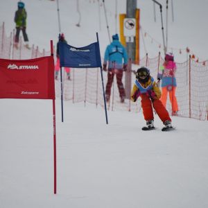 C4603E7B F69B 4FB6 8C54 98F8DB058E14