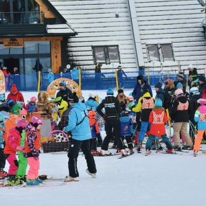 E5DD847B 484C 4A22 874A 3300480ADCCF