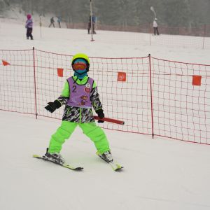 kursy narciarskie 26-31.01