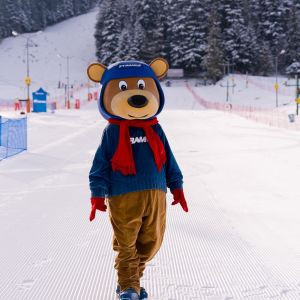 kursy narciarskie 16-21.02